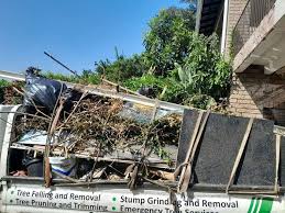 Best Same-Day Junk Removal Services  in Monroe, WI